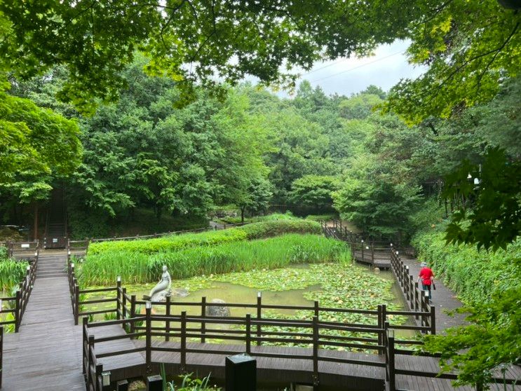 아차산 생태공원 새단장 마치고 어울림정원으로 변신한 최신모습