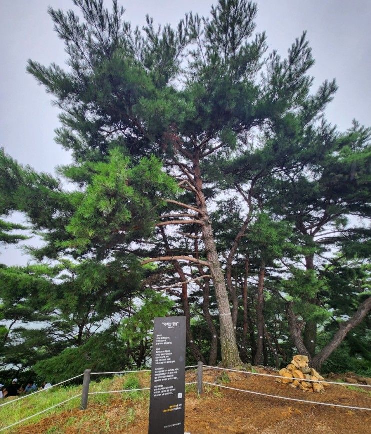 [서울 오르기 쉬운 아차산 산행] 광나루역~아차산 생태공원...