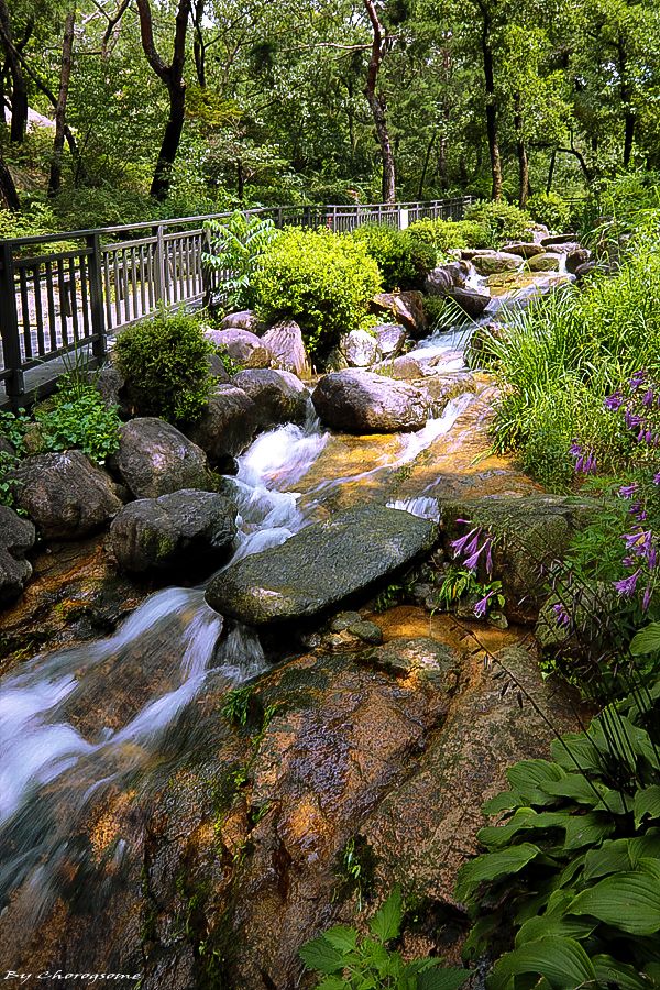 아차산 산책길·등산길 (아차산어울림광장·아차산동행숲길...