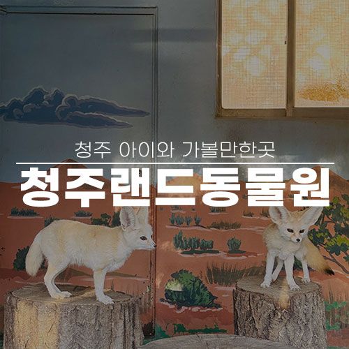 청주 아이와 가볼만한곳 청주랜드 동물원 주차 입장료 지도...