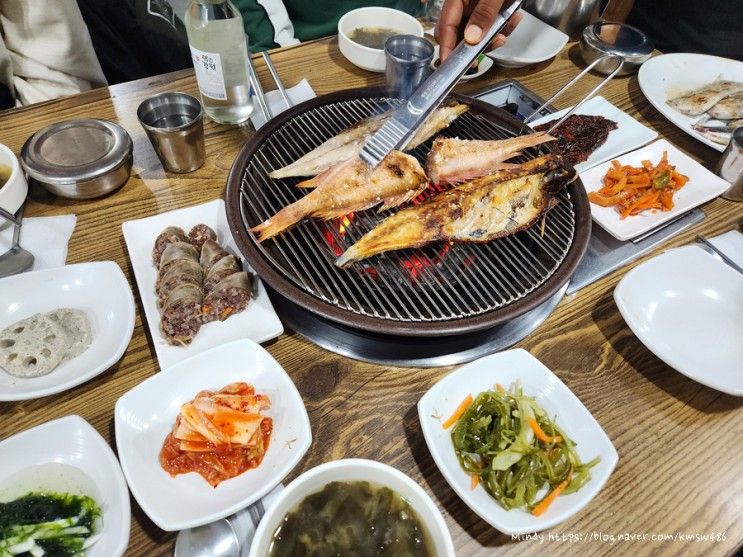 생선구이, 속초아이 대관람차, 속초해수욕장, 동명활어센타...