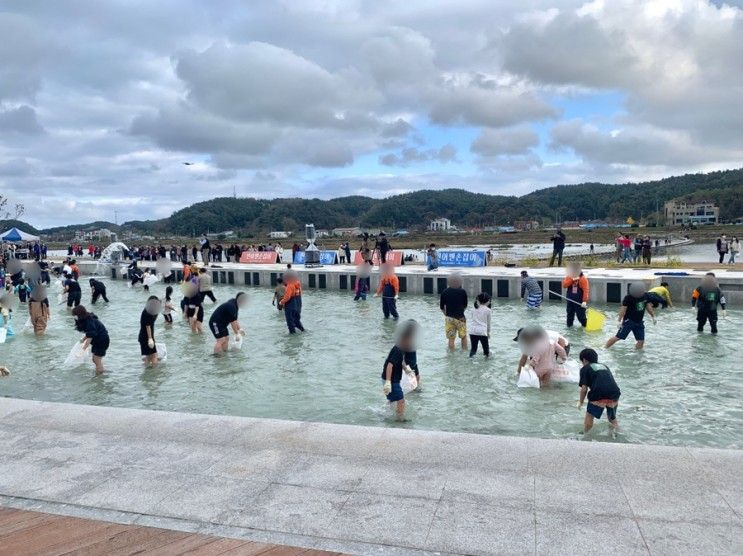 양양연어축제에서 연어맨손잡기 체험, 비치마켓 방문