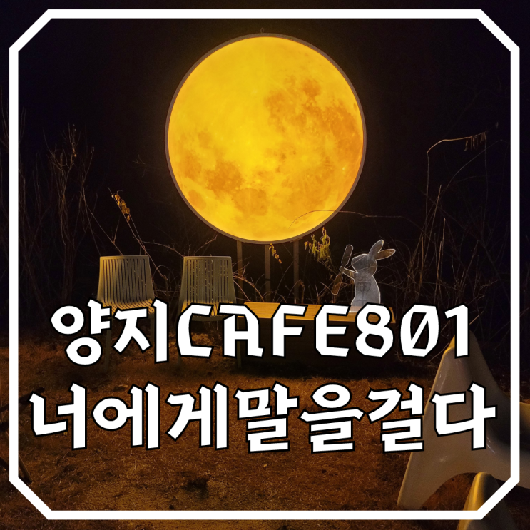 용인양지카페! Cafe801 너에게 말을 걸다