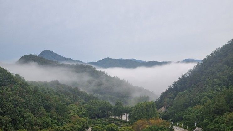 춘천 가족여행 - 엘리시안 강촌리조트 후기