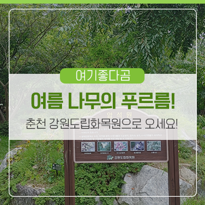 여름 나무의 푸르름을 즐길 수 있는 춘천 강원도립화목원으로...