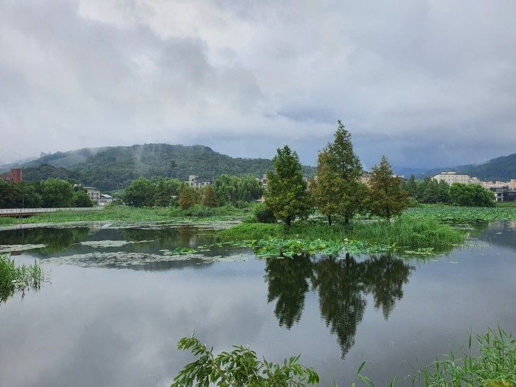 충남 가볼만한곳 천안 야외데이트 천호지(단대호수공원)...