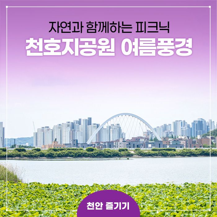 청춘들의 광장으로 탈바꿈한 천호지공원의 여름풍경!