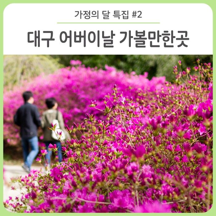 가정의 달 특집 #2. 대구... 가볼만한곳/ 대구수목원/ 앞산...