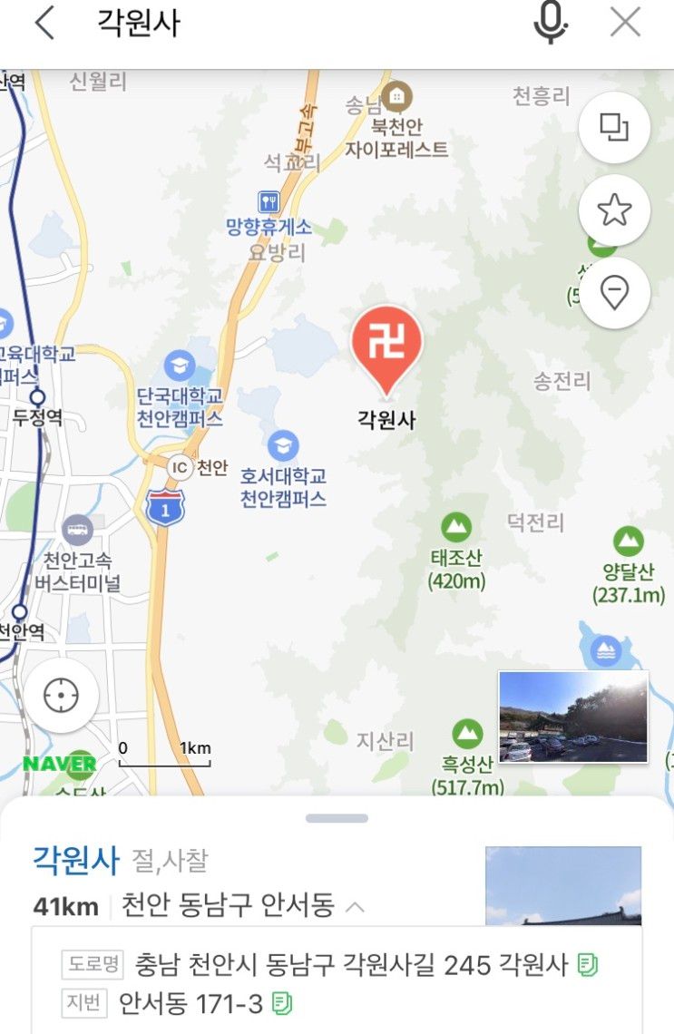 겹벚꽃을 아시나요~철쭉과 함께하는 근교 벚꽃놀이~천안 각원사