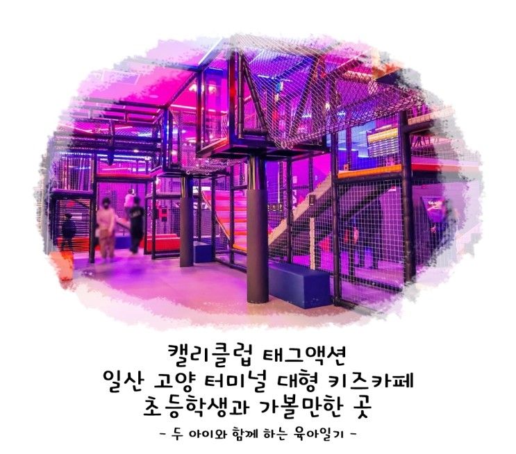 캘리클럽 태그액션 일산 고양 터미널 대형 키즈카페 초등학생과...