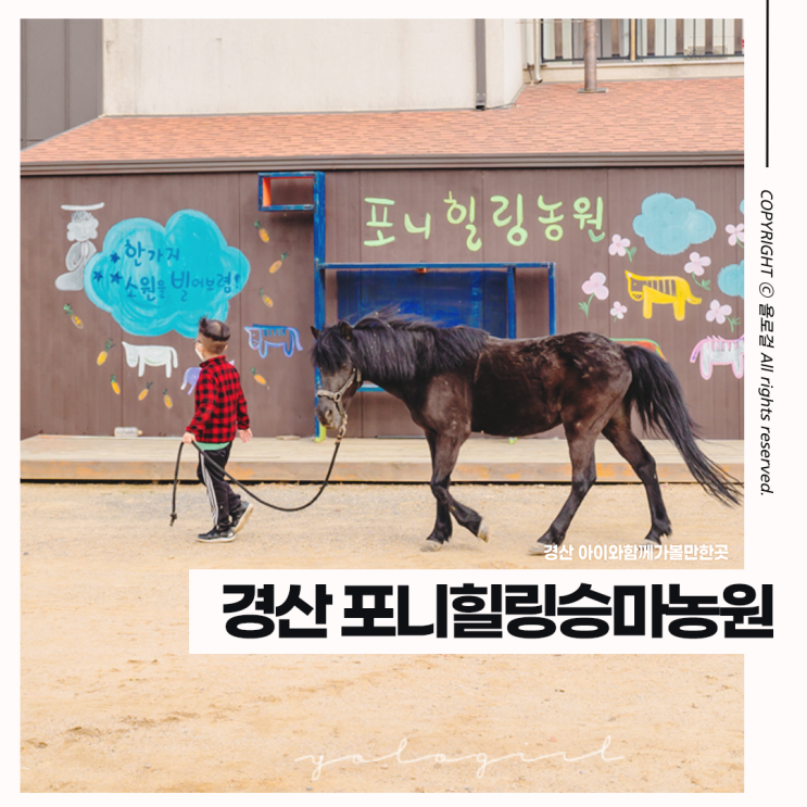 경산 아이와 함께 가볼만한곳 포니힐링승마농원 w. 낚시, 캠핑 등