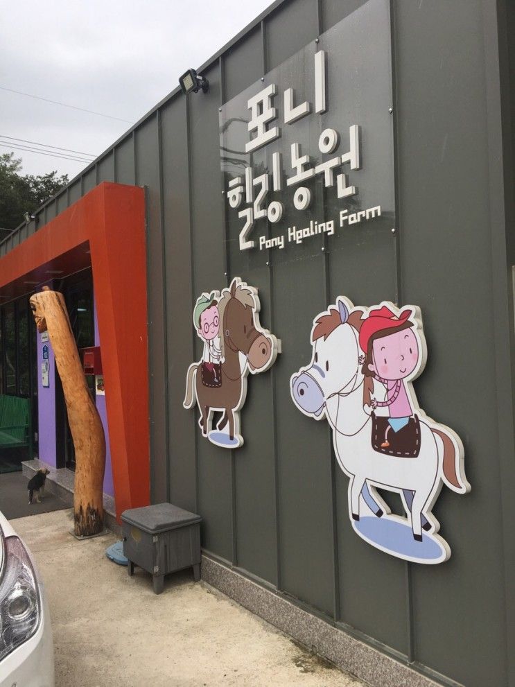 대구가볼만한곳 경산 포니힐링승마농원