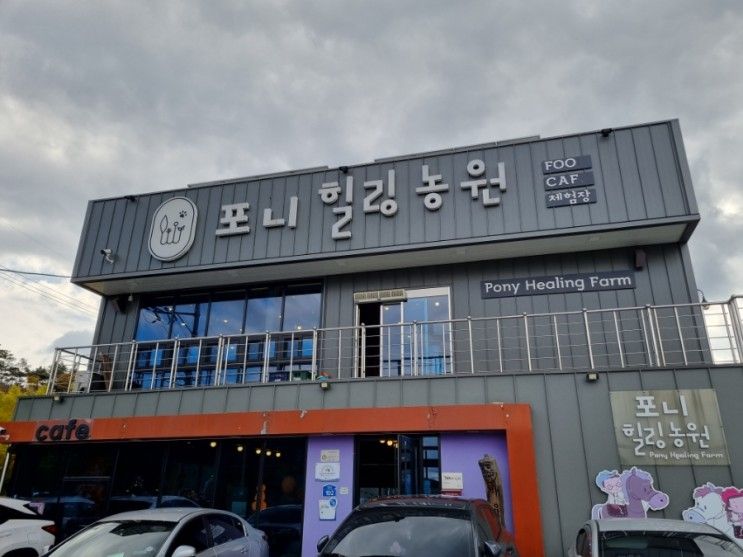 [경북경산] 포니힐링승마농원에서 승마체험하기