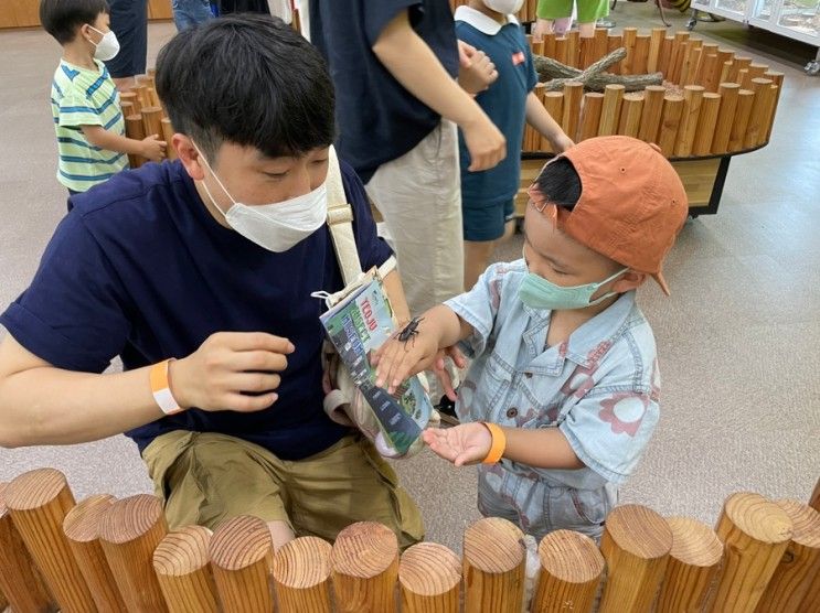 35개월 아이와 여주 곤충 박물관 후기