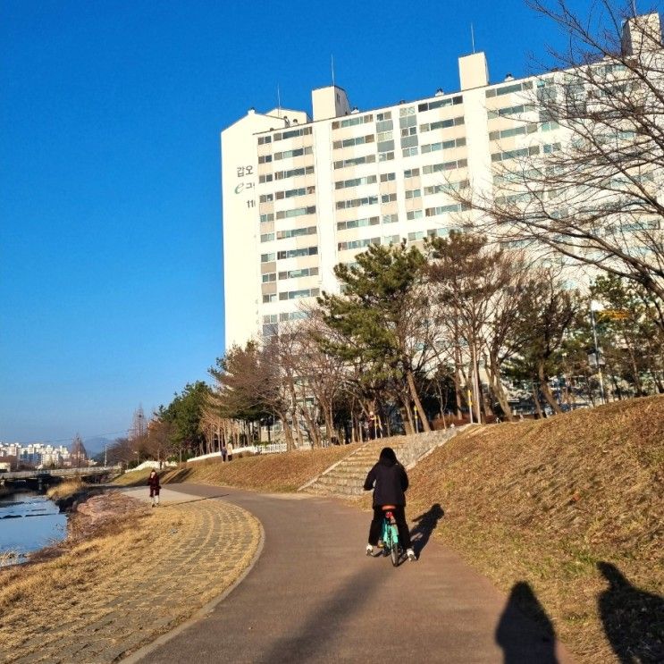 꿀 연휴 마지막 날 우당탕탕 워킹맘 일상 장유빵집 포븐