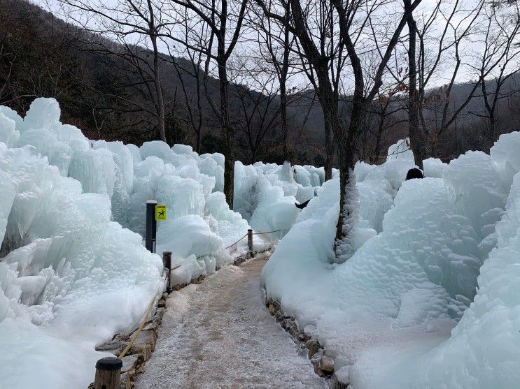 상소동 산림욕장 겨울풍경과 애월담 카페 - 대전 인근 가볼만한...