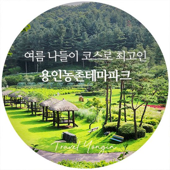 용인농촌테마파크 물놀이장부터 내동마을 연꽃단지까지! 여름...