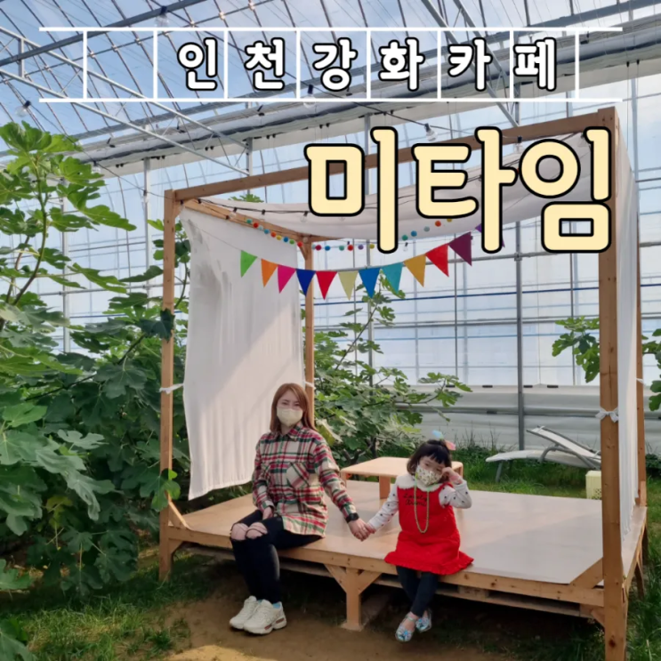 비오는 날 아이와 갈 만한 인천 강화 카페 미타임 (애견동반가능)