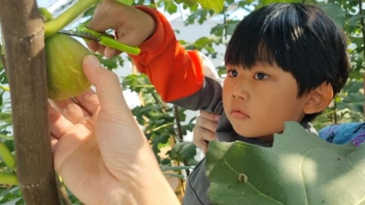 [미타임 강화] 근교 아이와 체험하기 좋은 곳 : 만들기, 요리...