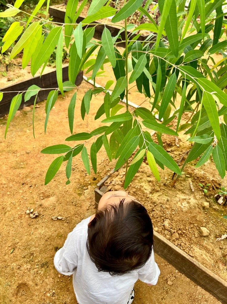 아이와 함께 나들이 자연친화 놀이터 미타임 강화