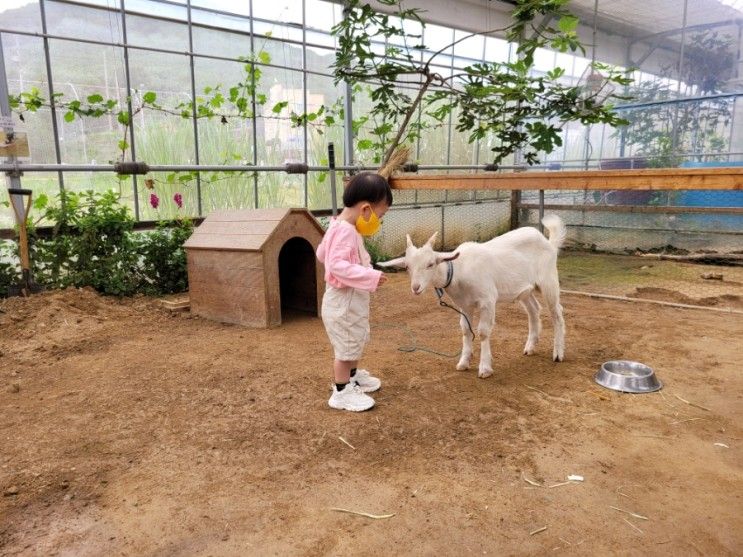파주 나눔농장 아이와 가기 좋은 곳