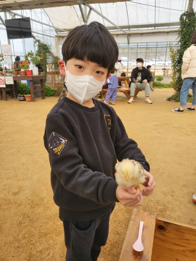 파주 나눔농장, 아이와 가볼만한곳 동물체험