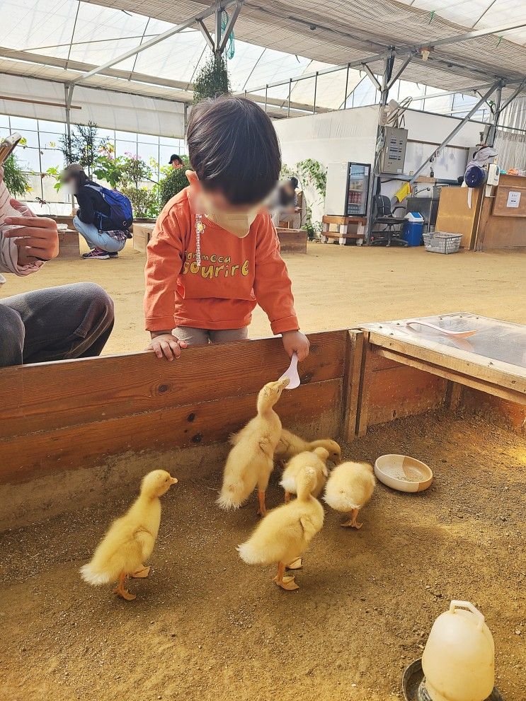 가볼만한곳 : 깔끔하고 세심한 파주 동물 체험 농장, 나눔농장