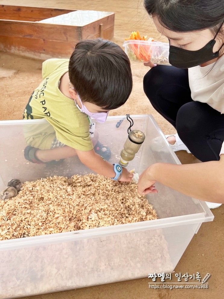 파주 아이랑 가볼만한곳 나눔농장(실내 아기동물 먹이주기 체험)