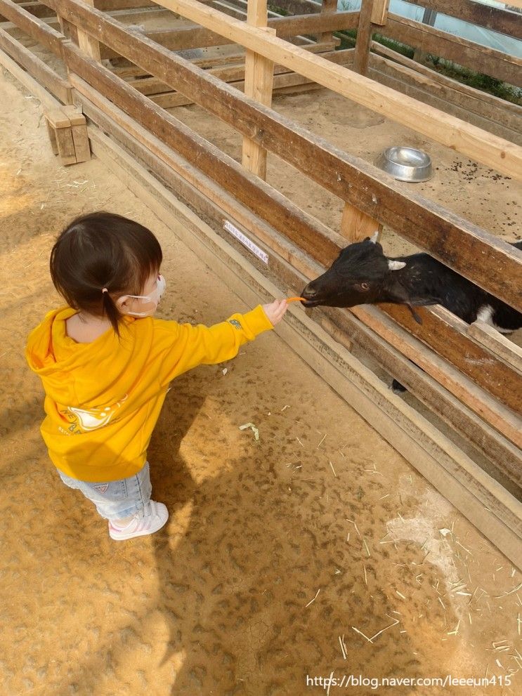 경기도 아이와 가볼만한곳 / 18개월 아기 부천 나눔농장에서 동물 먹이주기 체험 :)