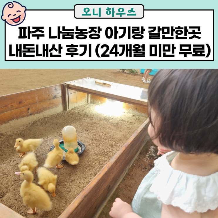 파주 나눔농장 아기랑 갈만한곳 내돈내산 후기 (24개월 미만...