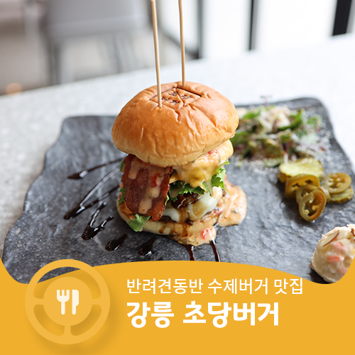 [강릉 가볼만한곳] 반려견동반 수제버거 맛집 강릉 초당버거