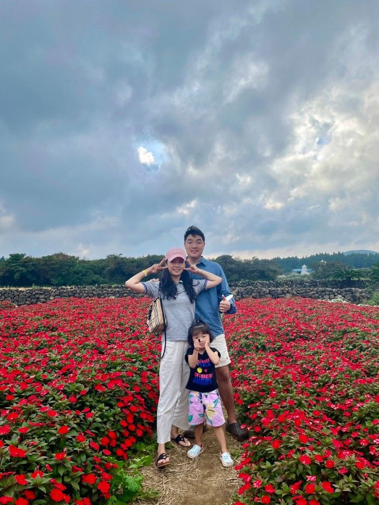 제주한달살기 33일차, 목장카페 밭디 아이랑 팁