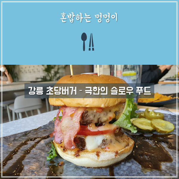 강릉 초당버거 (3멍)