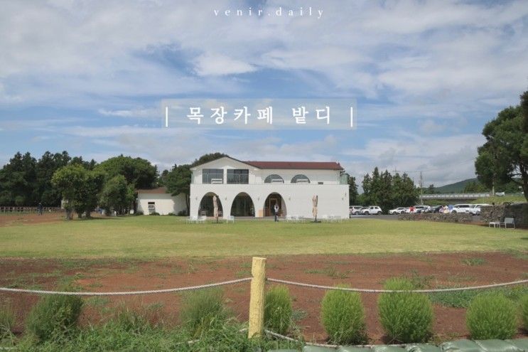 아이랑 제주 가볼만한 곳 | ‘목장카페 밭디’, 카페.승마체험.먹이주기.이색자전거 체험 가능한 곳(남녀노소 추천)