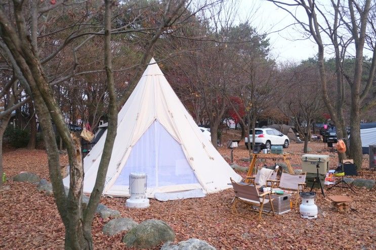 원주시캠핑장 학곡저수지가 보이는 구룡레저타운 캠핑장