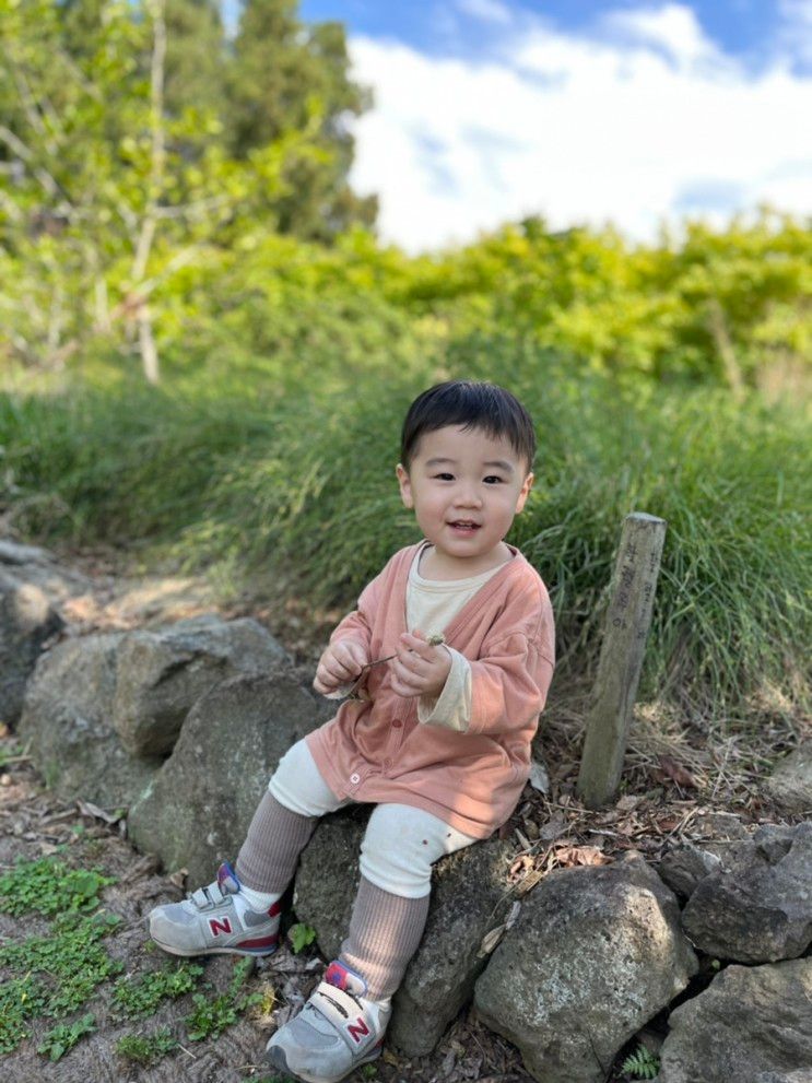 [아기랑 제주도여행]17개월... 어린왕자감귤밭, 마노르블랑...
