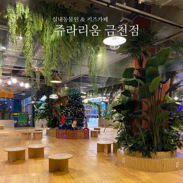 서울 실내동물원 키즈카페 쥬라리움 금천 18개월미만무료
