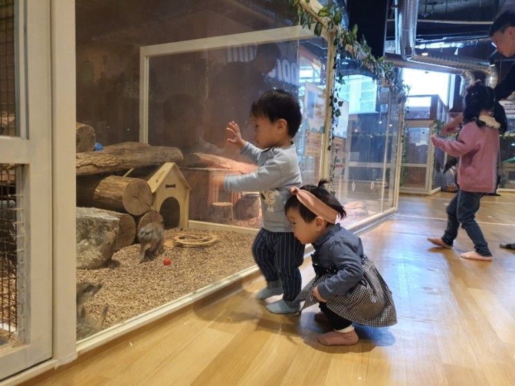 금천 쥬라리움 실내 아이랑 추천