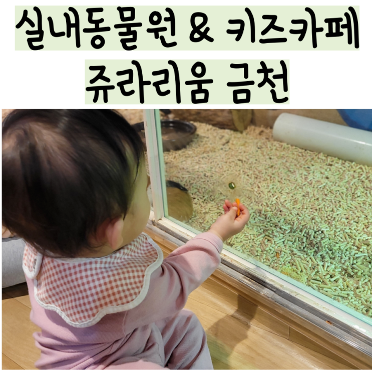 쥬라리움 금천, 실내동물원 & 키즈카페 서울 내돈내산