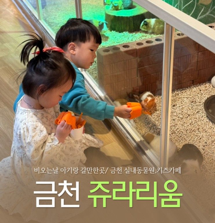 서울 금천실내동물원&키즈카페 '쥬라리움 금천점' 비오는 날...