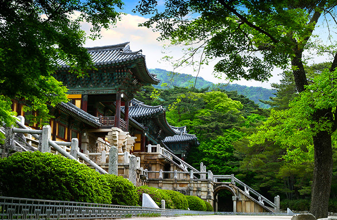 [소노벨 경주]야경이 아름다운 곳, 한여름밤의 경주 여행 소개