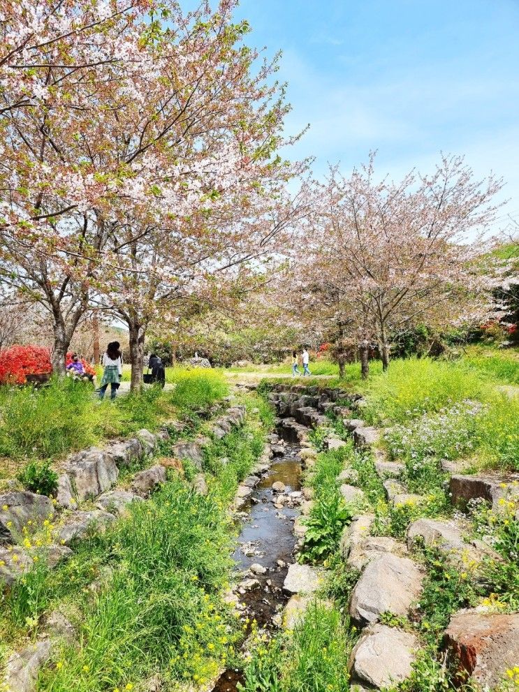 [대왕수천 예래생태공원] 제주도 생태공원 4월 중순 방문 후기