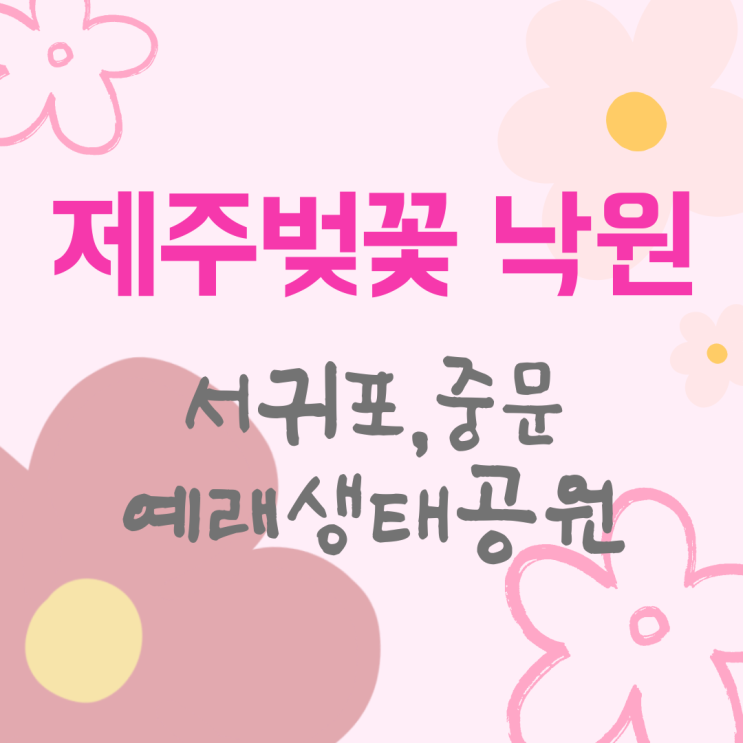 벚꽃명소♥서귀포,중문단지,대왕수천 예래생태공원 벚꽃길...
