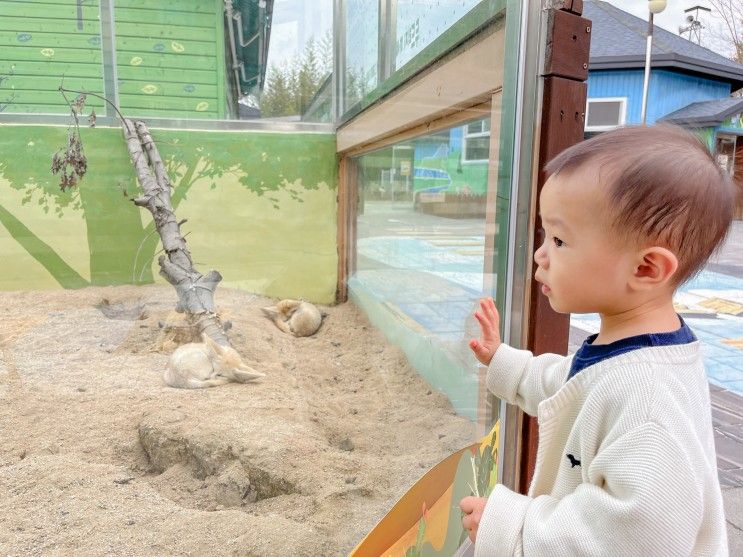 창녕 산토끼노래동산 대구 근교 아이와 가볼만한곳으로 굿뜨