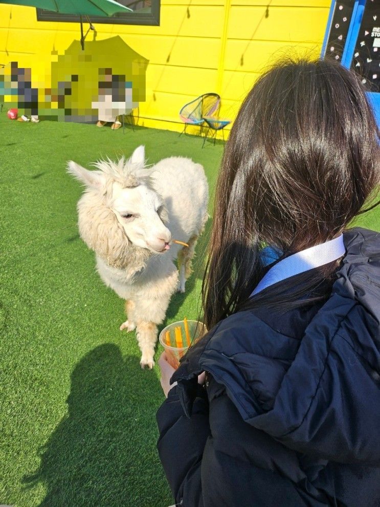 천안 해피애니멀 실내동물원 카페, 아이랑 체험하기 좋아요