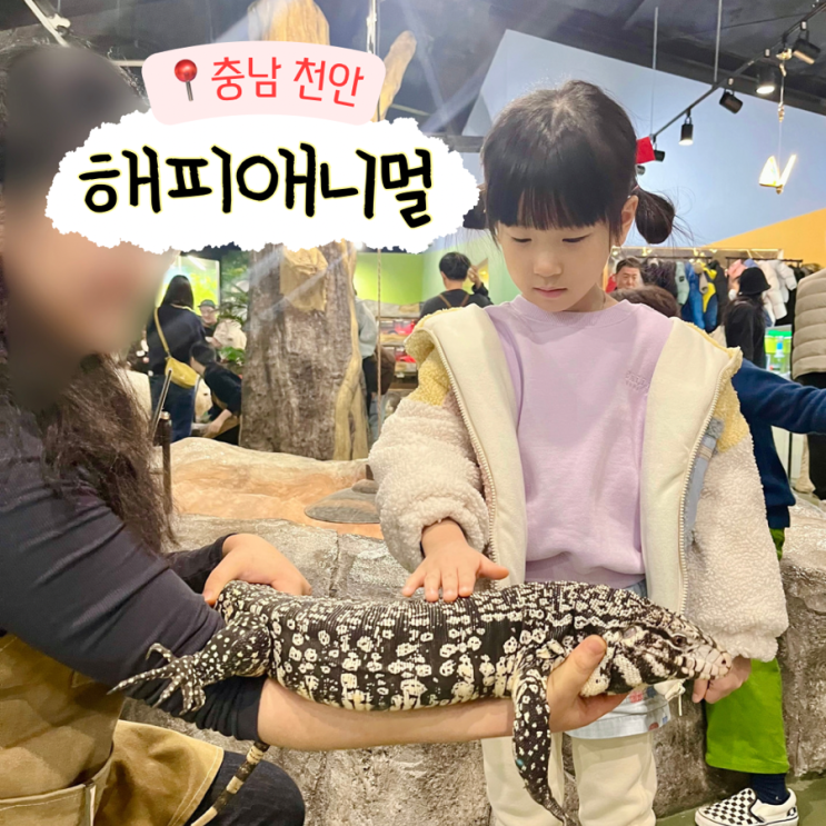 천안 실내동물원 해피 애니멀 먹이주기 이색 체험 키즈카페