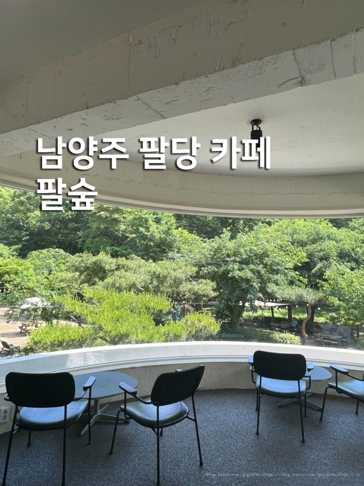 남양주 팔당 카페 숲뷰 팔숲