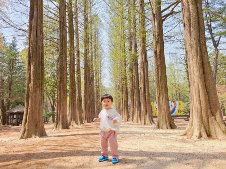 가평 아기랑 남이섬 갈때 꿀팁