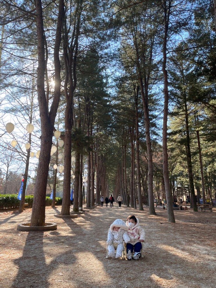 서울 근교 아기랑 가족여행하기 좋은 춘천 남이섬 :) 나미나라... 