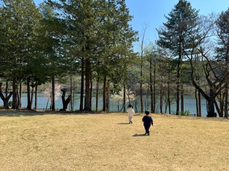 강원도 춘천 남이섬 아기랑갈만한곳 유모차 화장실 편하네요!